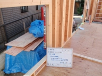 ＩＴＩＫＡＢＥ05 (800x600).jpg